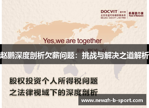 赵鹏深度剖析欠薪问题：挑战与解决之道解析