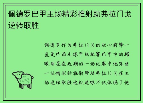 佩德罗巴甲主场精彩推射助弗拉门戈逆转取胜